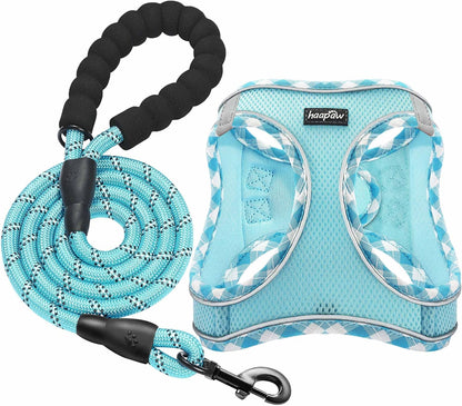 Haapaw Dog Harness with Leash Set, No Pull Adjustable Reflective Step-In Puppy Harness with Thickened Padded Vest for Extra-Small/Small Medium Dogs11