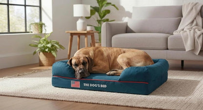 The Dog’S Bed Orthopedic Memory Foam Dog Bed with Bolsters for Large Dogs, High Density Support Mattress, Low Front Entry, Removable Washable Cover, Oxford Fabric, Blue with Dark Red Trim, Large6
