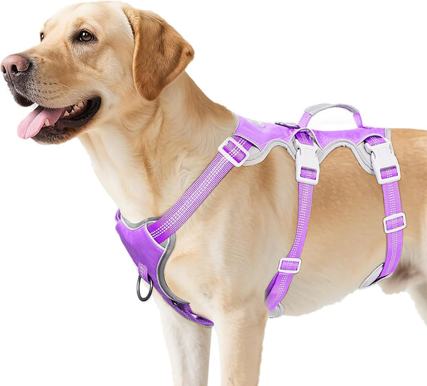 Huntboo Escape Proof Dog Harness, Escape Artist Harness, Reflective Harness with Padded Handle, Breathable, Durable, Adjustable Vest for Medium Dogs Walking, Training, and Running Gear (Blue, M)16