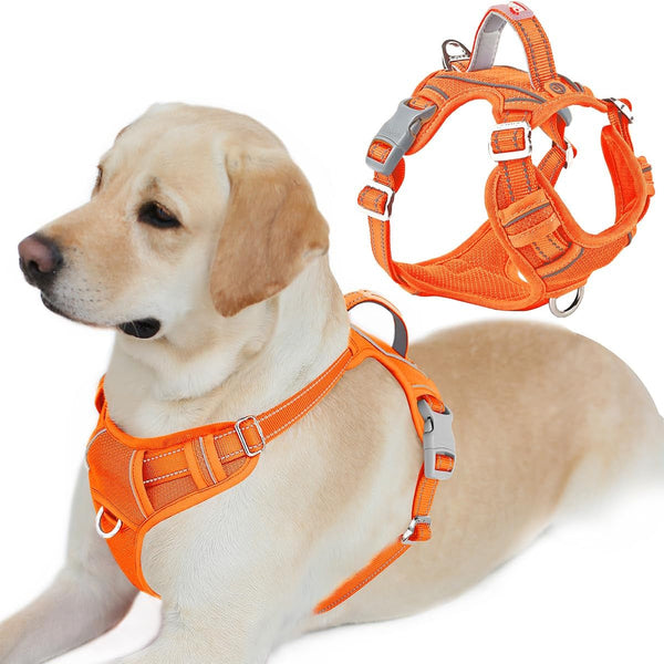 BARKBAY Dog Harness No Pull with ID Tag Pocket - Heavy Duty, Reflective, Easy Control for Large Dogs(Blue,L)66