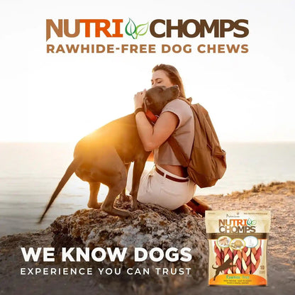 Nutrichomps Rawhide-Free Dog Chews, 6 in Braids, Chicken, PB, Milk, 10 Ct | a Rawhide-Free Chew That'S Gentle and Easy to Digest, Made with the Real, Wholesome Ingredients Dogs Love6