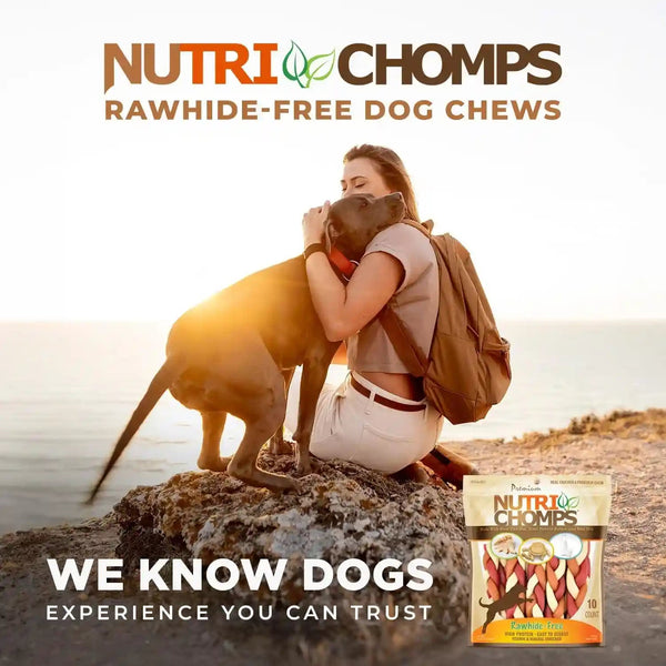 Nutrichomps Rawhide-Free Dog Chews, 6 in Braids, Chicken, PB, Milk, 10 Ct | a Rawhide-Free Chew That'S Gentle and Easy to Digest, Made with the Real, Wholesome Ingredients Dogs Love6