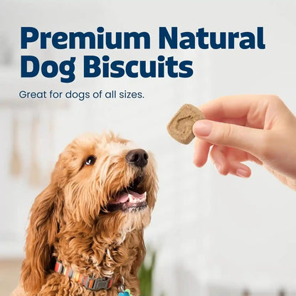 Blue Buffalo Health Bars Pumpkin & Cinnamon Crunchy Dog Biscuits, Oven-Baked with Pumpkin & Natural Ingredients, Healthy Dog Treats with No Artificial Flavors or Preservatives, 16 Oz.3