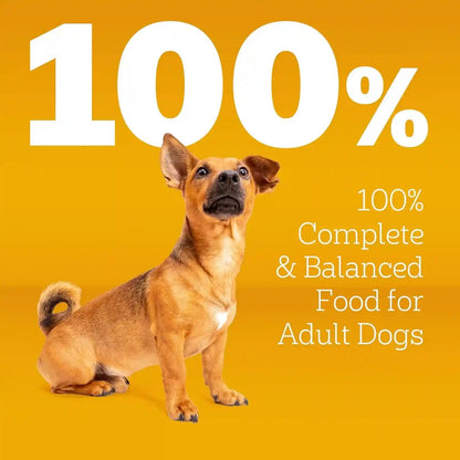 Pedigree Small Dogs Dry Dog Food, Roasted Chicken and Vegetable, 14 Lb | 36 Vitamins, Minerals & Amino Acids, Omega-6 & Zinc for Skin and Coat, Natural Fibers for Digestion, Supports Immune Health3