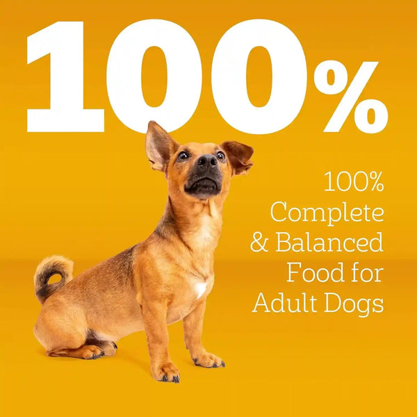 Pedigree Small Dogs Dry Dog Food, Roasted Chicken and Vegetable, 14 Lb | 36 Vitamins, Minerals & Amino Acids, Omega-6 & Zinc for Skin and Coat, Natural Fibers for Digestion, Supports Immune Health3