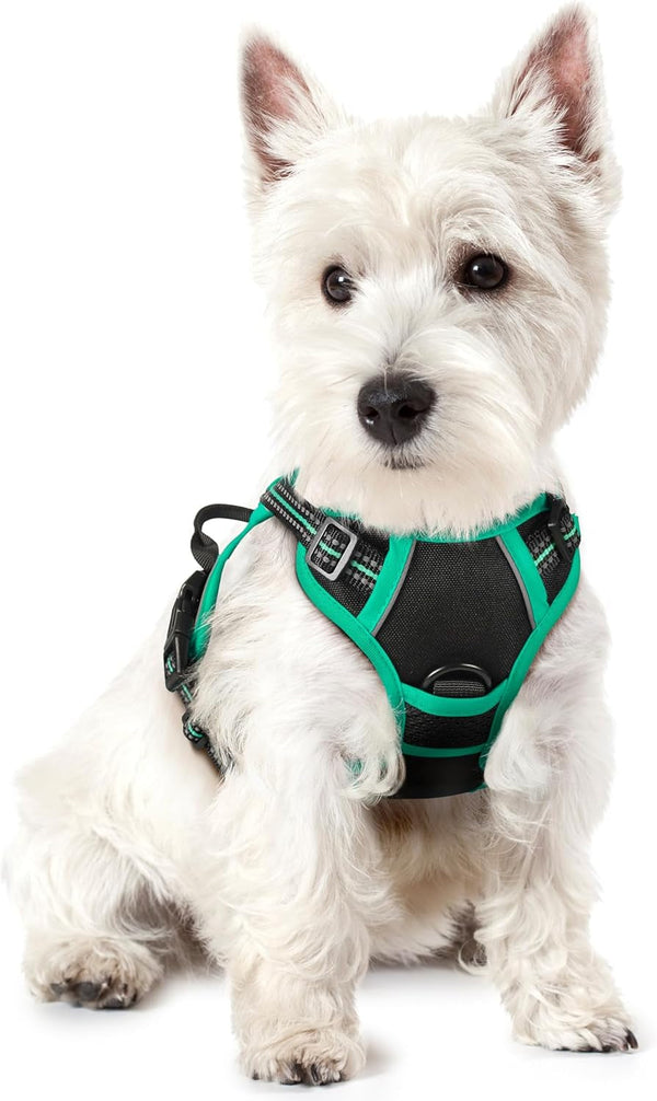 Rabbitgoo Dog Harness, No Pull for Large Dogs with 2 Leash Clips, Pet Vest | No Choke with Handle, Adjustable Soft Padded, Reflective, Easy Control for Walking, Black, Large130