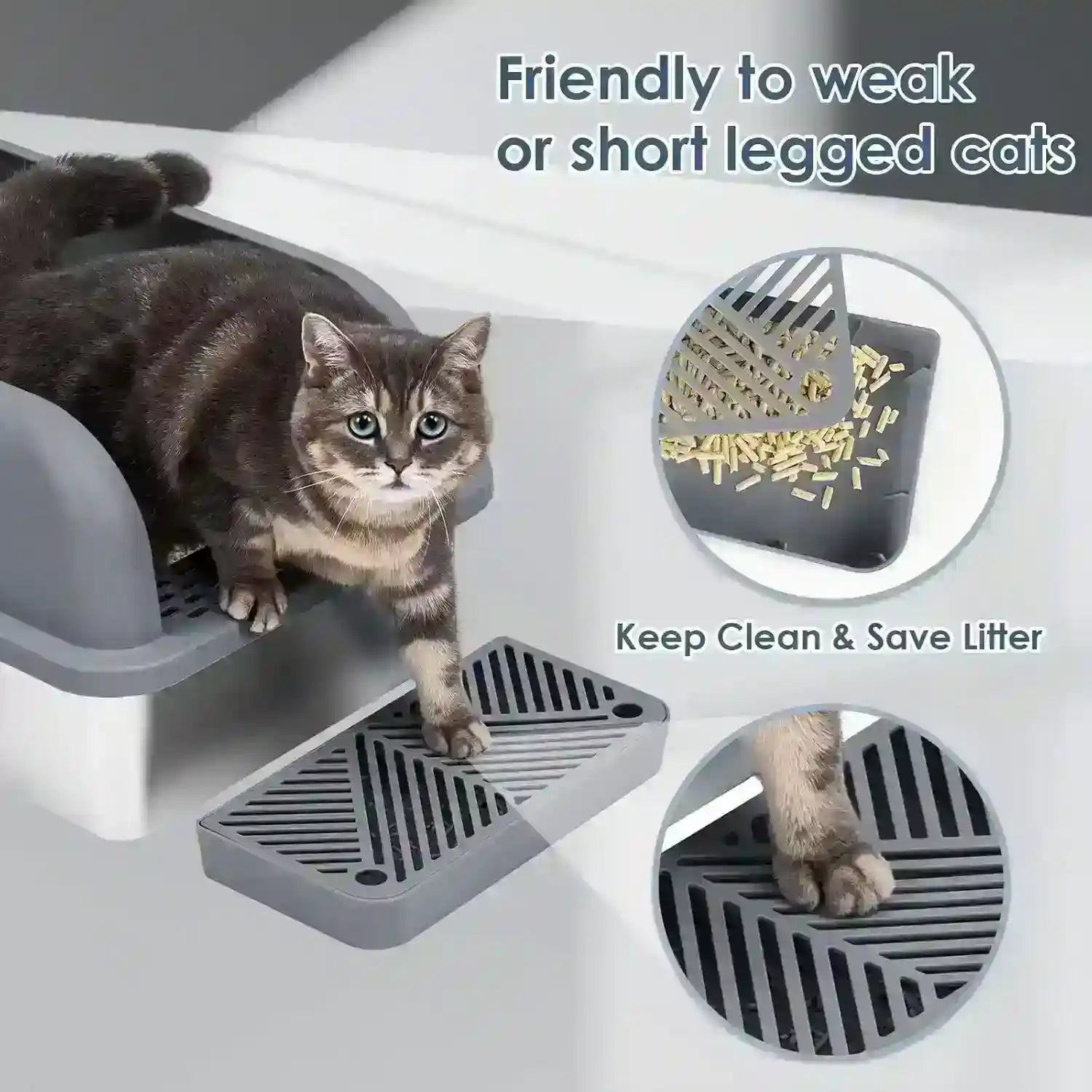 cat-using-litter-box-with-step-designed-for-short-legged-cats-keeps-clean-and-saves-litter
