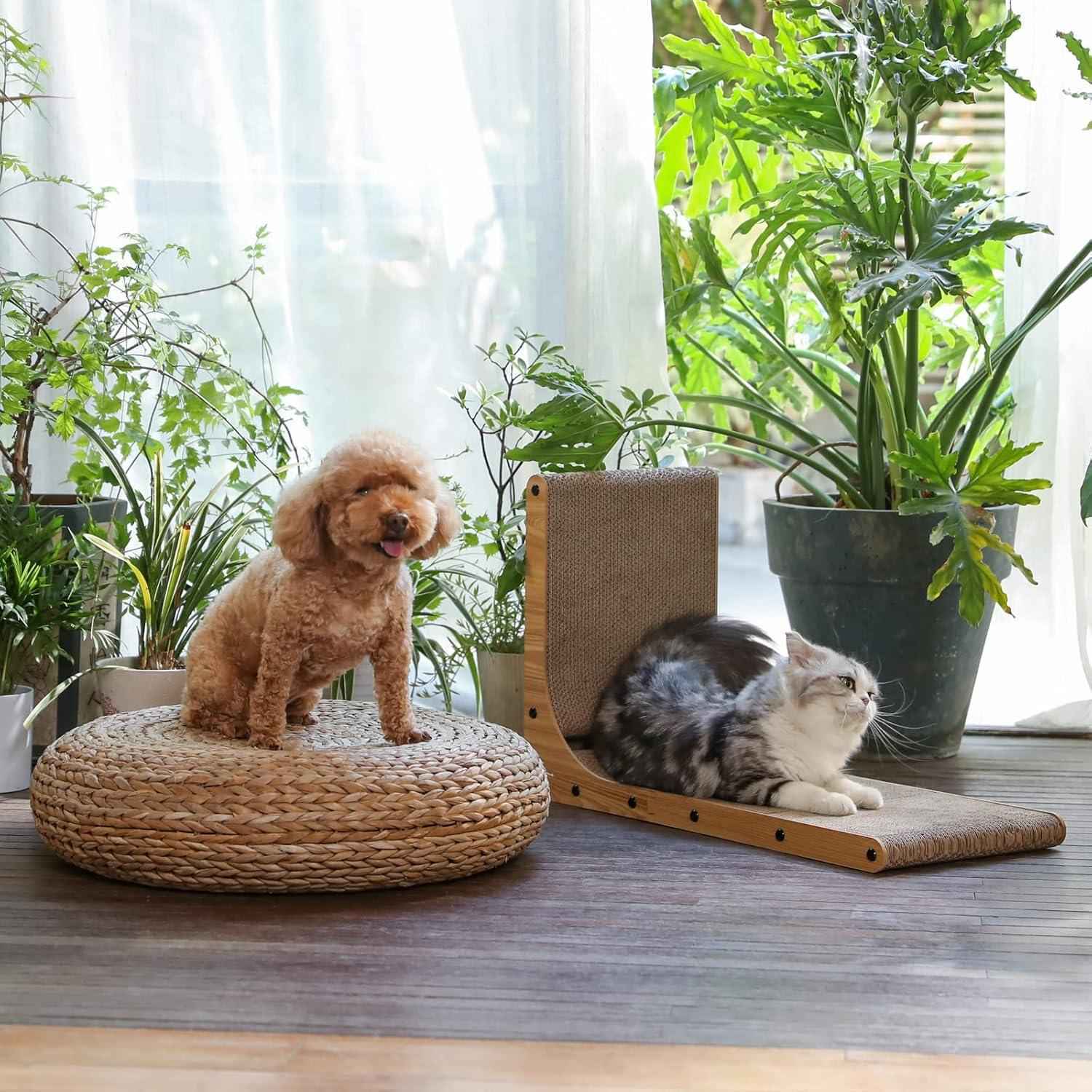 dog-on-woven-pet-bed-and-cat-on-wooden-scratcher-near-plants