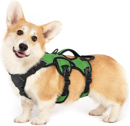 Rabbitgoo Escape Proof Dog Harness for Large, No Pull with Lift Handle | No Escape, Full Soft Padded, Reflective Adjustable Vest, Leash Clip for Walking Hiking Training, Black, Large34