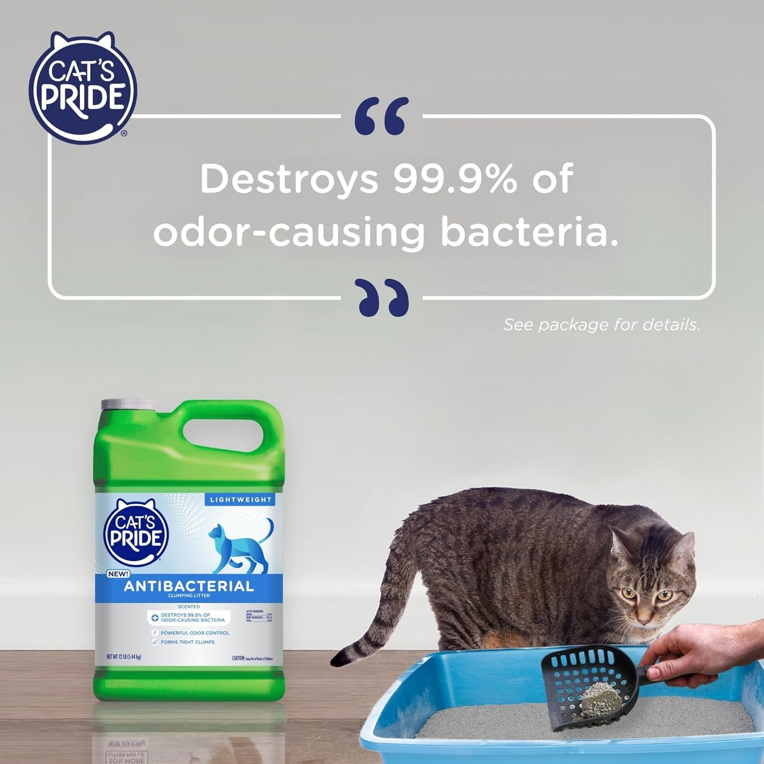 cats-pride-antibacterial-cat-litter-destroys-99-9-of-odor-causing-bacteria-powerful-odor-control-premium-lightweight-clumping-litter-scented-12-pounds