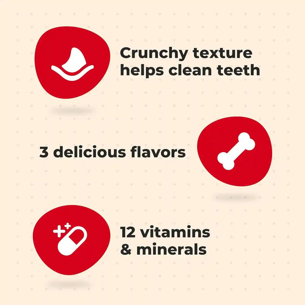 Milk-Bone Flavor Snacks Mini’S Dog Biscuits, Flavored Crunchy Dog Treats, 36 Oz. Canister | 5 Calories per Treat, 15% Protein, 3 Flavors per Canister (Beef, Chicken & Bacon, Naturally & Artificially Flavored)3