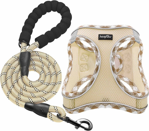 Haapaw Dog Harness with Leash Set, No Pull Adjustable Reflective Step-In Puppy Harness with Thickened Padded Vest for Extra-Small/Small Medium Dogs1