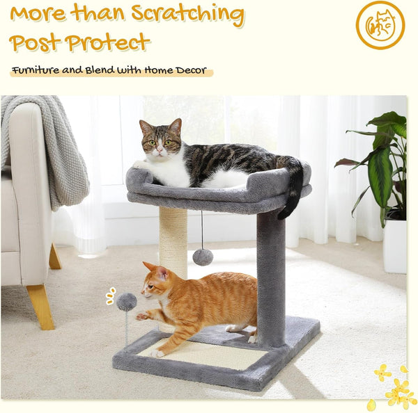PAWZ Road Cat Scratching Post with Bed, Small Cat Tower with Pad & Ball | 19” Cat Stand with Padded Removable Bed, Full Sisal Scratching Post & Scratcher Pad Dual Play Ball for Kittens & Indoor Cats2
