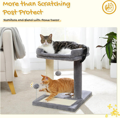 PAWZ Road Cat Scratching Post with Bed, Small Cat Tower with Pad & Ball | 19” Cat Stand with Padded Removable Bed, Full Sisal Scratching Post & Scratcher Pad Dual Play Ball for Kittens & Indoor Cats2