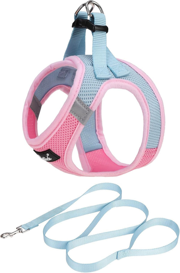 PUPTECK Dog Harness and Leash Set for Small Medium Dogs No Pull Step-In Soft Mesh Puppy Cat Vest Harnesses Reflective at Night, Green S45