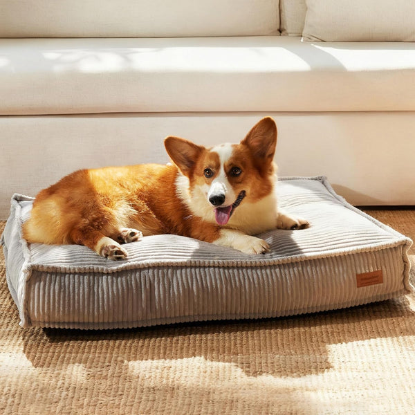FUKUMARU 5.5-Inch Thick Dog Bed Mat, Washable Cat Bed with Waterproof Lining, Orthopedic Dog Beds for Senior Dogs, Cozy Flat Dog Kennel Bed for Crate, Non-Slip Pet Pillow Bed, Grey1