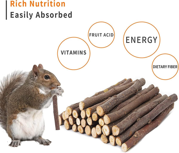 700G Apple Sticks Molar Wood Treats, Rabbit Toys Chinchilla Guinea Pig Bunny Toys Wood Chews Sticks for Teeth Rabbit Food Guinea Pig Hamster Gerbil Chews Small Animals Snacks(200 Pcs)3