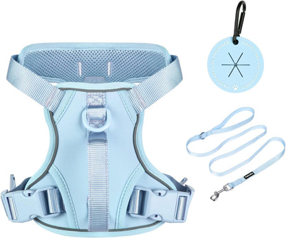 Petmolico No Pull Cute Dog Harness Reflective, Light Blue, Small | Set Includes Leash & Waste Bag Holder, 2 Clips & Handle, Soft Comfy Fit, Adjustable, Ideal for Daily Walks & Travel1