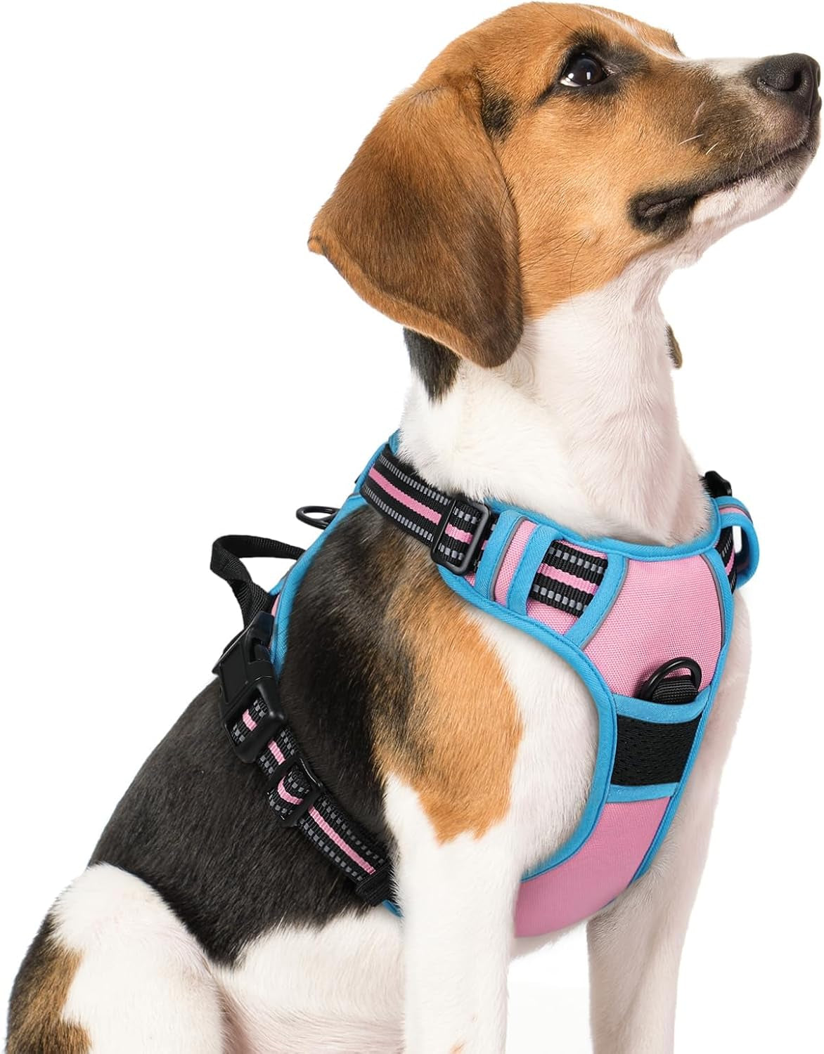 rabbitgoo-dog-harness-no-pull-for-large-dogs-with-2-leash-clips-pet-vest-no-choke-with-handle-adjustable-soft-padded-reflective-easy-control-for-walking-black-large