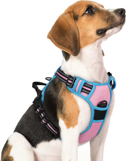 Rabbitgoo Dog Harness, No Pull for Large Dogs with 2 Leash Clips, Pet Vest | No Choke with Handle, Adjustable Soft Padded, Reflective, Easy Control for Walking, Black, Large68