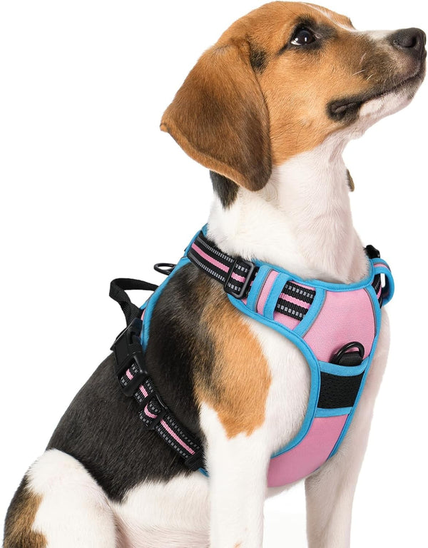 Rabbitgoo Dog Harness, No Pull for Large Dogs with 2 Leash Clips, Pet Vest | No Choke with Handle, Adjustable Soft Padded, Reflective, Easy Control for Walking, Black, Large68
