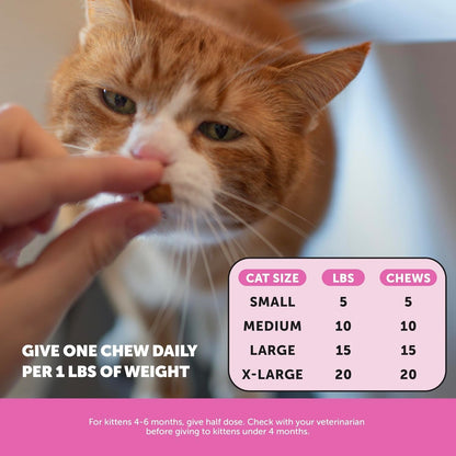 Cat Multivitamin Crunchy Creamy Chews - Daily Cat Vitamins with Lysine, Prebiotics, Omega 3 Fish Oil - Cat Treats for Immune Support, Skin Coat, Digestion, Heart + Joint Health (30-Day Supply)6