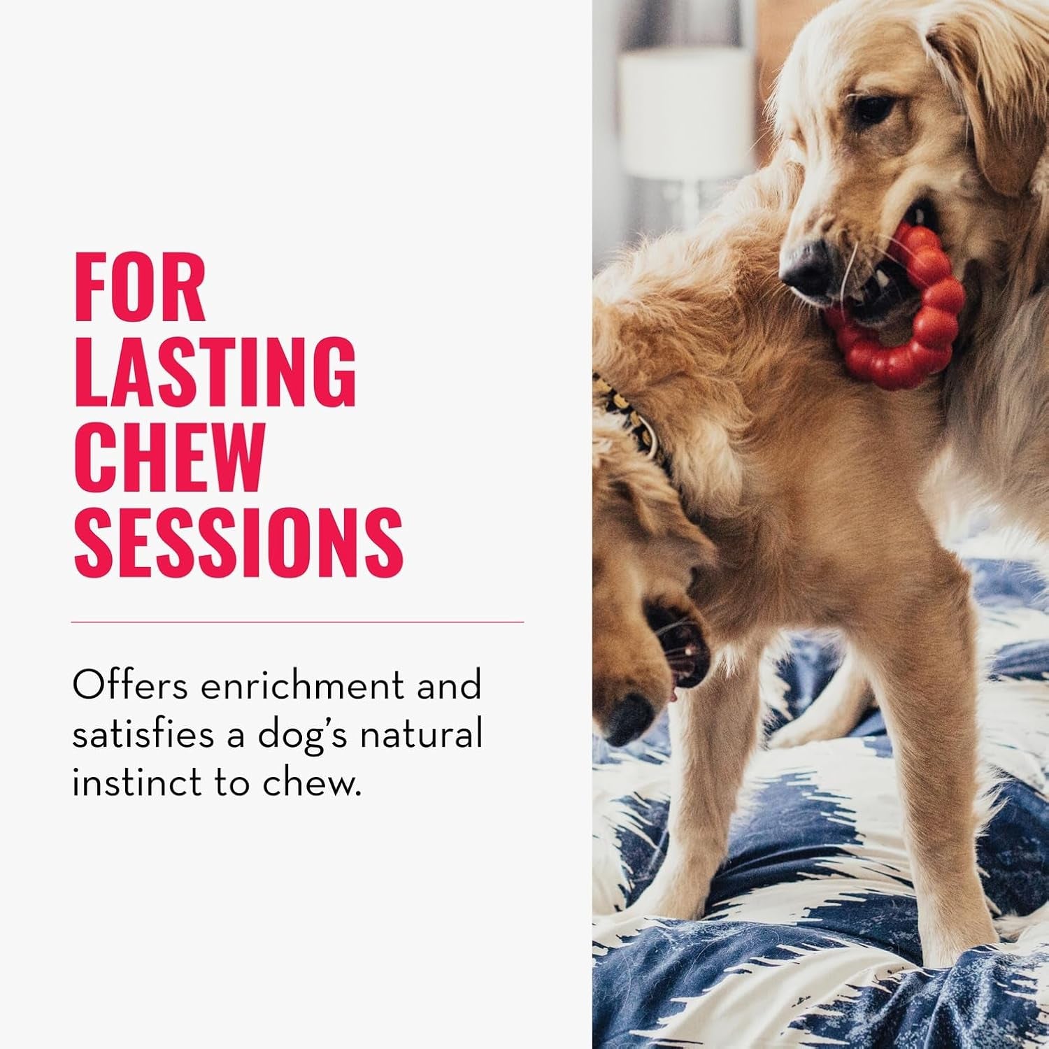 kong-ring-natural-rubber-ring-toy-for-healthy-chewing-habits-chew-toy-supports-dog-dental-health-dog-toy-supports-instincts-during-playtime-for-small-medium-dogs
