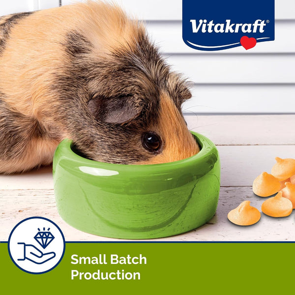 Vitakraft Drops with Orange Flavor Guinea Pig Treats 5.3 Oz Bag Delicious Yogurt Enriched Snacks with Vitamin C Essential Nutrients and Wholesome Nourishment for Small Pets6