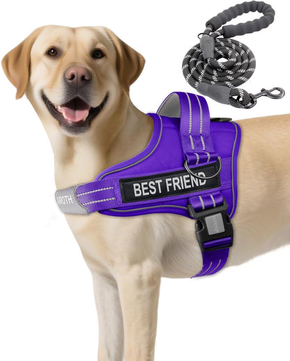 AUROTH Dog Harness and Leash Set, Soft Padded Service Dog Vest with 5.25FT Dog Leash, No Choke, Easy on Pet Vest, Adjustable Reflective No Pull Pet Vest Medium Sized Dog, Easy Walking and Training30