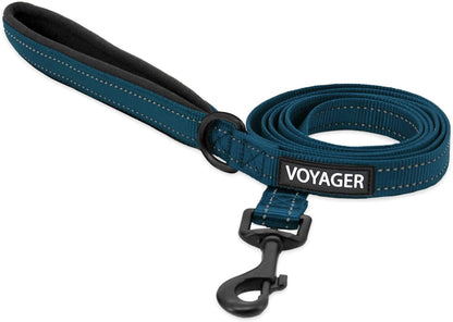 Best Pet Supplies Voyager Nylon Dog Leash - Fuchsia, Small | 5Ft in Length, 5/8" in Width, Reflective, Soft Neoprene Handle, Heavy Duty Metal Clips for Running, Walking & Training13