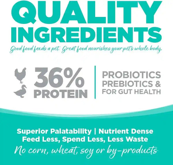 Nutrisource Grain Free Cat & Kitten Country Select, 4LB (Pack of 1)5