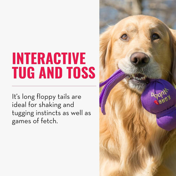 KONG Wubba Tug of War and Fetch Dog Toy, for XL Dogs | Indoor & Outdoor Toy for Puppy & Dog Playtime, Great for Tug of War & Fetch, Color Randomly Provided3