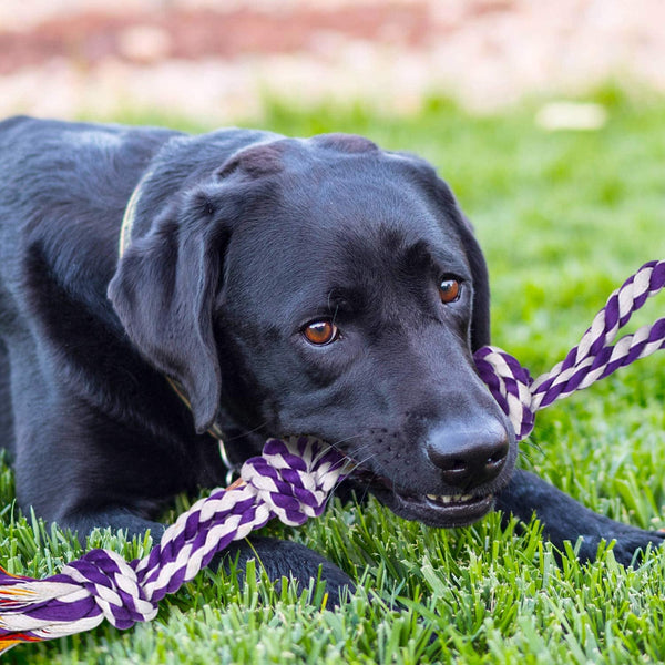 SHARLOVY Large Tough Chew Toys for Aggressive Chewers Large Breed,Heavy Duty Dental Rope Toys Kit for Medium Dogs,5 Knots Indestructible Cotton Puppy Teething Chew Tug Toy Set of 96