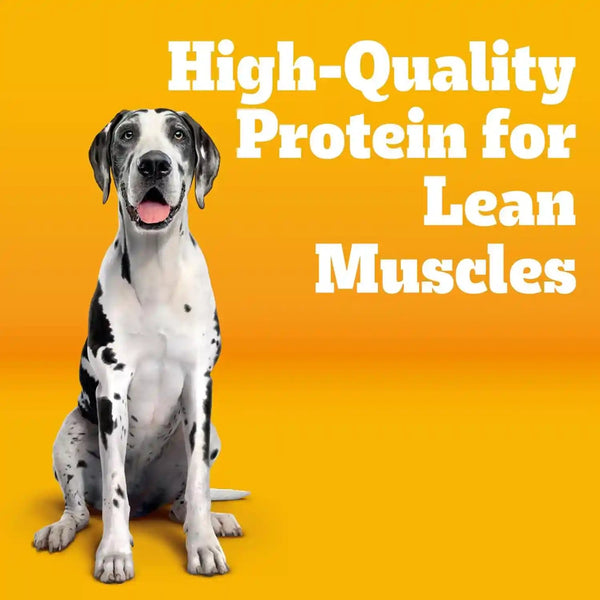 Pedigree Large Breed Adult Dry Dog Food, Roasted Chicken & Vegetable, 16 Lb | 36 Vitamins, Minerals & Amino Acids, Prebiotic Fiber, Supports Lean Muscle & Immune Health, Natural Flavors Only2