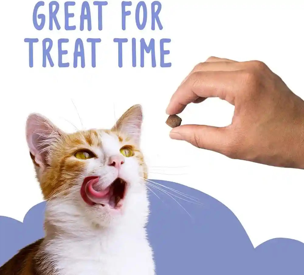 friskies-party-mix-gravy-licious-crunch-chicken-and-gravy-flavored-treats-for-cats-resealable-pouch-2-1-ounce-each-pack-of-2