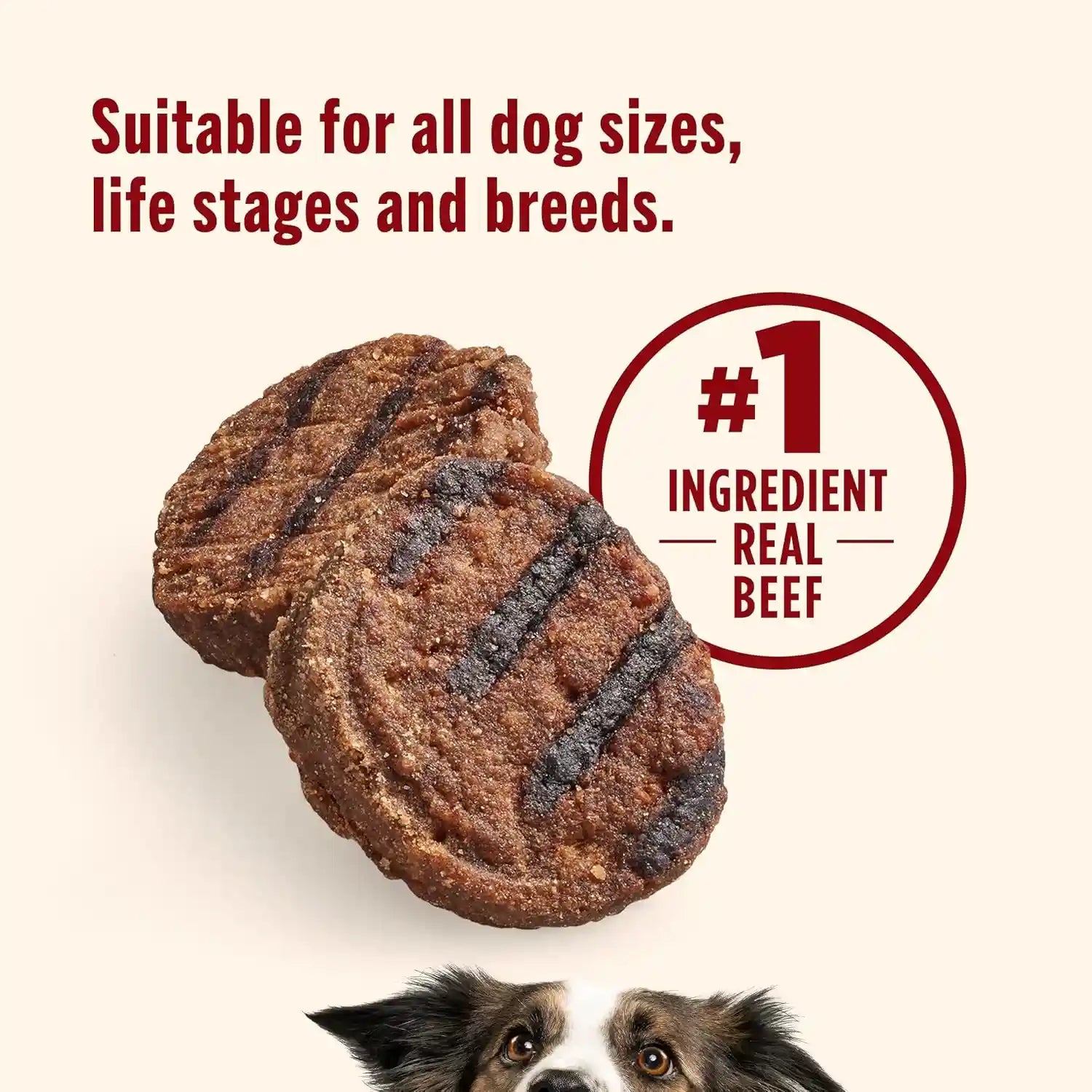 nutrish-burger-bites-dog-treats-beef-recipe-12-oz-pouch-rachael-ray