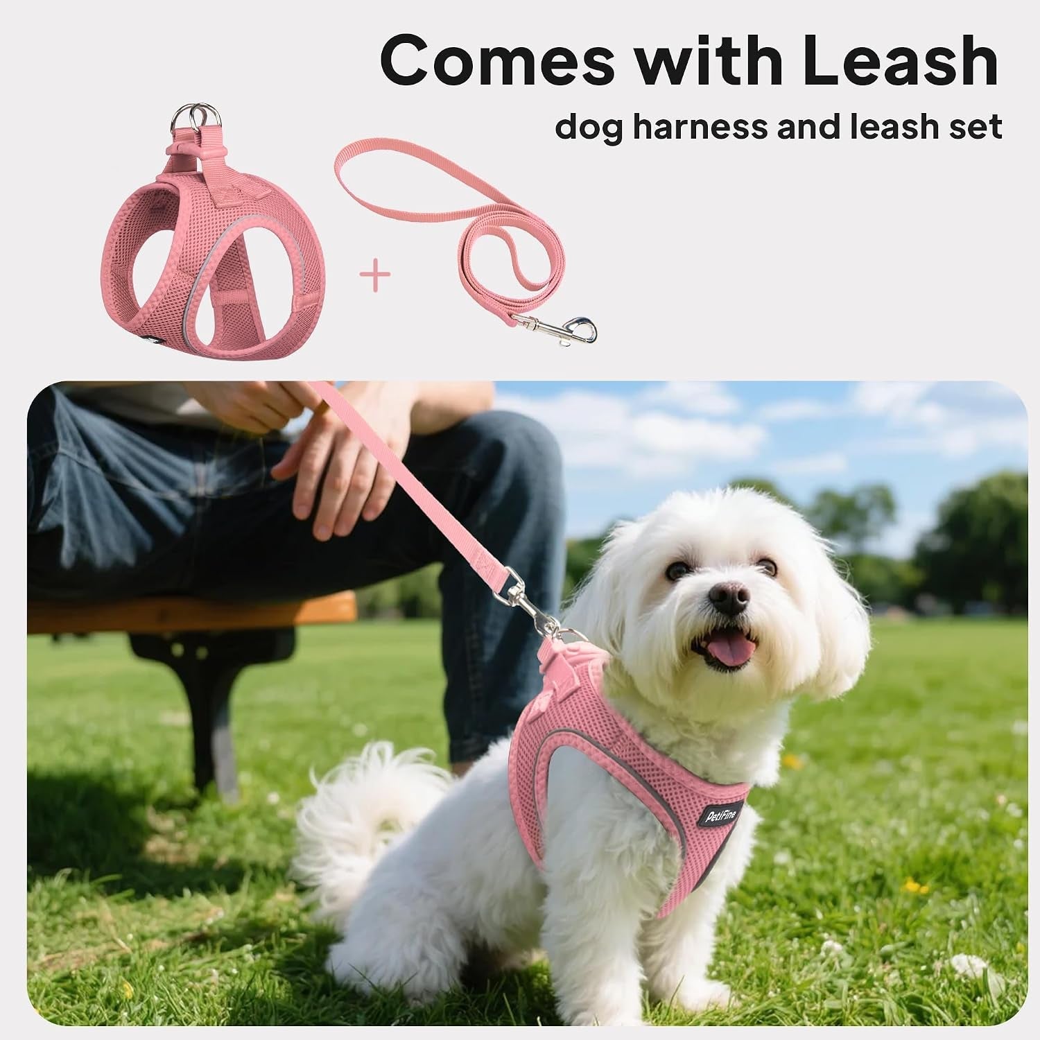 small-dog-harness-and-leash-set-breathable-step-in-puppy-cat-harness-xs-reflective-for-safe-easy-walking-soft-light-puppy-vest-escape-proof-no-pull-harness-for-dogs-all-weather-air-mesh-harness