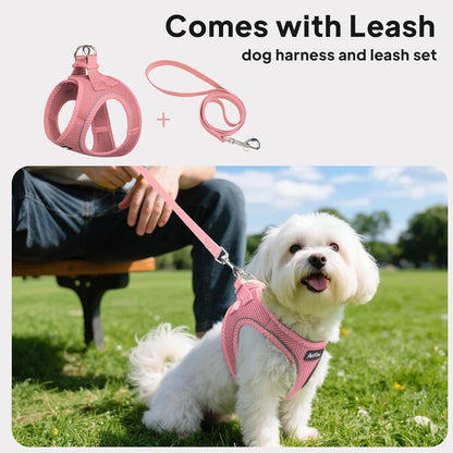 Small Dog Harness and Leash Set Breathable Step-In Puppy Cat Harness,Xs | Reflective for Safe Easy Walking,Soft Light Puppy Vest,Escape Proof,No Pull Harness for Dogs,All Weather Air Mesh Harness5