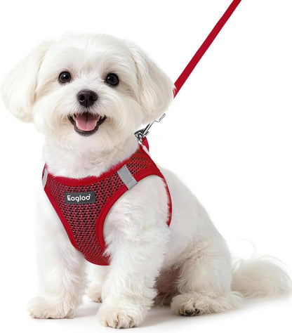 Eagloo Small Dog Harness and Leash Set, Step in Small Sized Puppy Pet Vest | Light, Soft, Breathable Air Mesh, Easy on and off with Hook & Loop, Reflective for Safe Walking, Pink, S40