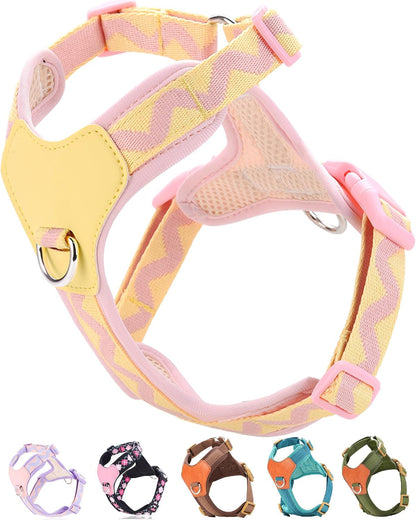 Green Xs Dog Harness for Small Dogs, No Pull Dog Harness with 2 Leash Clips, Puppy Harness, Dog Vest Harness(Green, XS)10