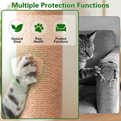 Plam Tree Cat Scratching Post 40" Tall with Cat Toys for Indoor Large Cats | Sturdy Base Cat Scratcher Posts for Adult Cats with Rotating Hanging Ball, Cat Puzzle Toy and Spring Cat Treat Dispenser5