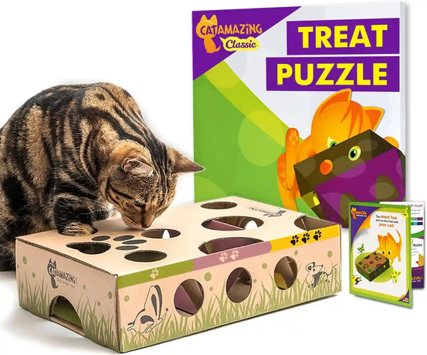 Cat Amazing Interactive Treat Maze and Puzzle CAT Toy1