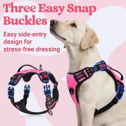 Rabbitgoo Large Dog Harness, Easy Wear with 3 Buckles and Lift Handle | No Pull with Front Clip for Walking, Adjustable Soft Padded, Reflective, Easy Control, Pink, Large3