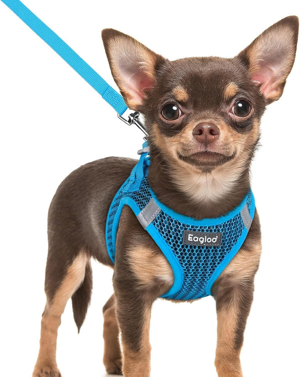 Eagloo Small Dog Harness and Leash Set, Step in Small Sized Puppy Pet Vest | Light, Soft, Breathable Air Mesh, Easy on and off with Hook & Loop, Reflective for Safe Walking, Pink, S41