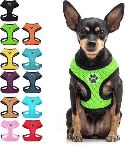 BINGPET Small Dog Harness, No Pull Dog Harness Small Sized Dogs, Soft Light Breathable Mesh Puppy Vest with Safety Buckle-Adjustable Step in Pet Harnesses for Easy Walking, Running, Training20