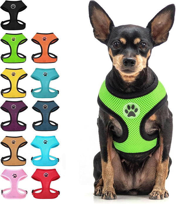 BINGPET Small Dog Harness, No Pull Dog Harness Small Sized Dogs, Soft Light Breathable Mesh Puppy Vest with Safety Buckle-Adjustable Step in Pet Harnesses for Easy Walking, Running, Training20