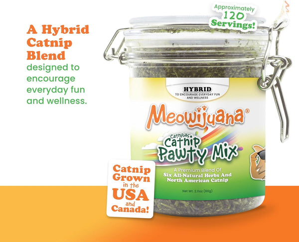 Meowijuana Catnibas Catnip Pawty Mix Jar | High Potency Catnip Blend | Organic Hand-Harvested North American Catnip Blend for Cats; Fine-Ground for Toys, Beds & Scratchers; Play or Calm3