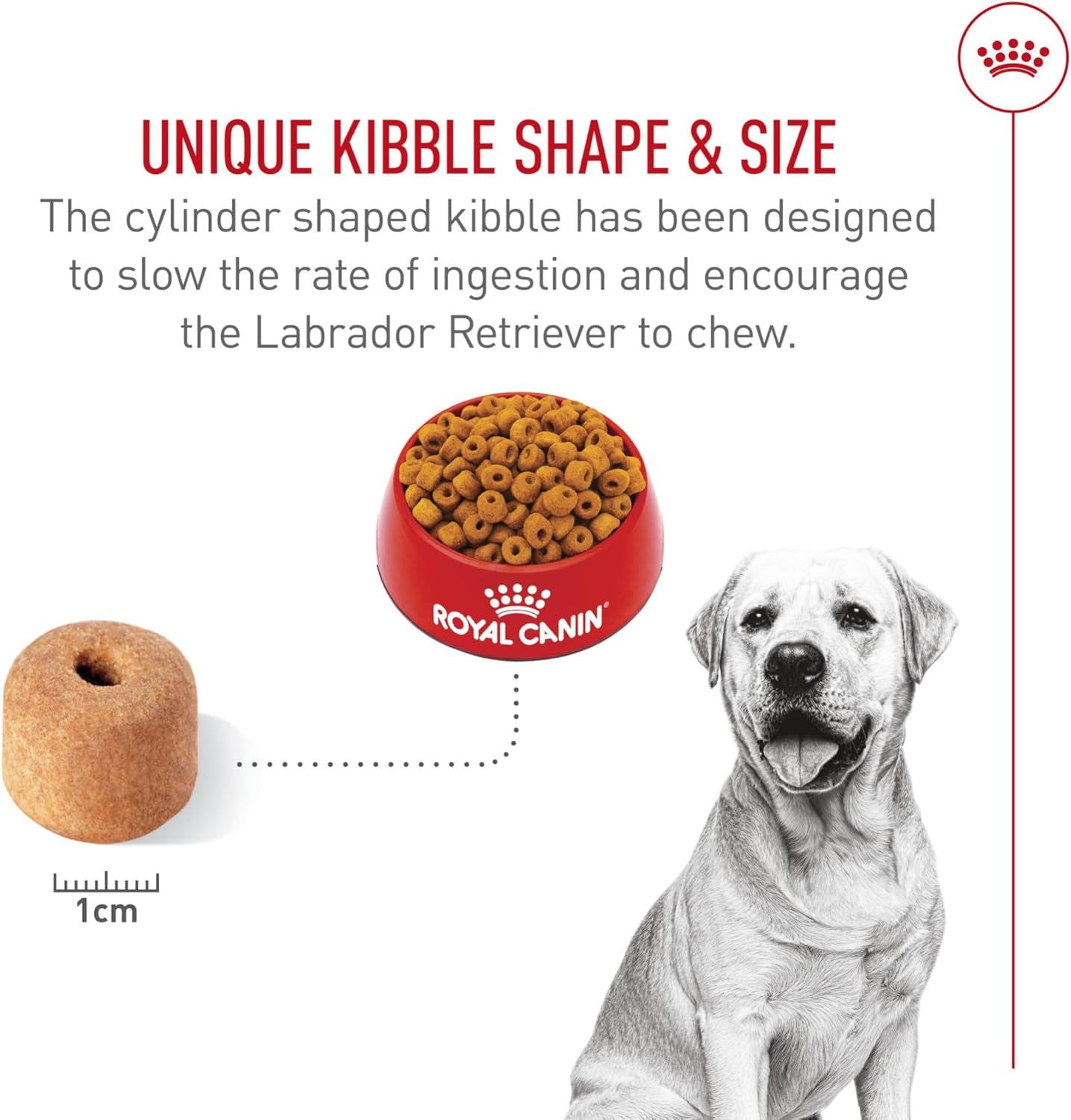 royal-canin-breed-health-nutrition-labrador-retriever-adult-dry-dog-food-30-lb-bag