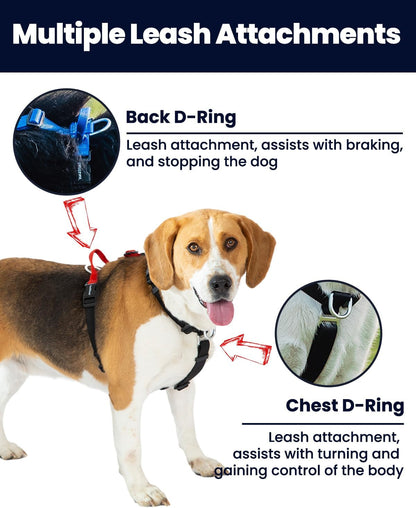 No Pull Dog Harness, Small, Purple/Black | Non Restrictive, Neck Buckle Design, Six Points Adjustment, Lightweight Easy Walk, Small Dogs Chest(17-23Inches)4