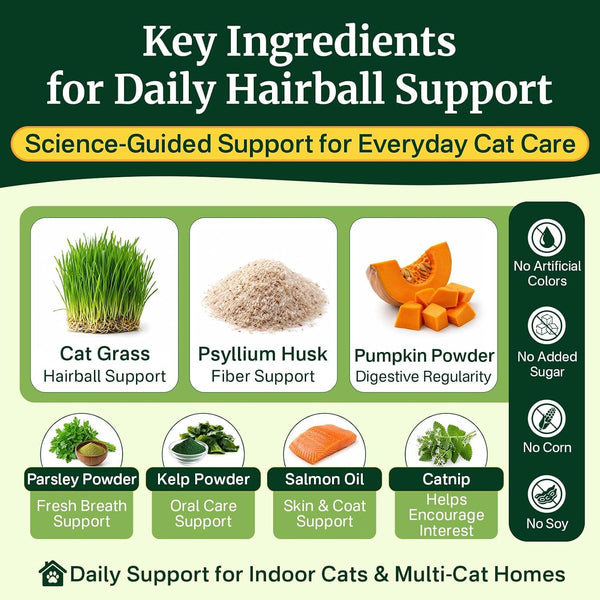 Cat Grass Treats Chews, Cat Treats for Indoor Cats, 500 Hairball Treatment for Cats, Hairball Control, Feline Grass Chews with Fish Oil, Taurine & B Vitamins for Skin & Coat, Digestion & Dental Care7